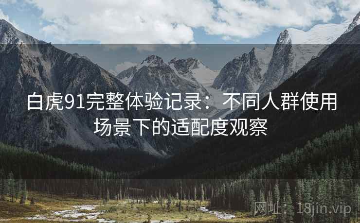 白虎91完整体验记录：不同人群使用场景下的适配度观察