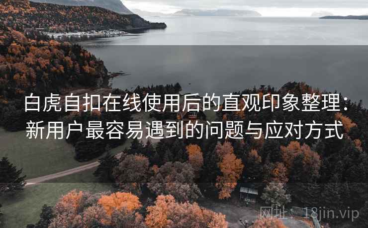 白虎自扣在线使用后的直观印象整理：新用户最容易遇到的问题与应对方式
