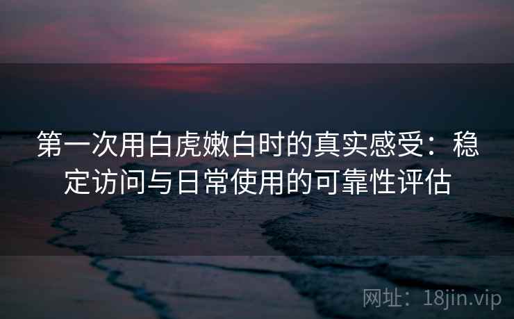 第一次用白虎嫩白时的真实感受：稳定访问与日常使用的可靠性评估