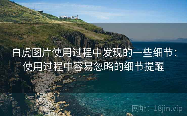 白虎图片使用过程中发现的一些细节：使用过程中容易忽略的细节提醒