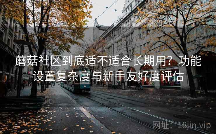 蘑菇社区到底适不适合长期用？功能设置复杂度与新手友好度评估