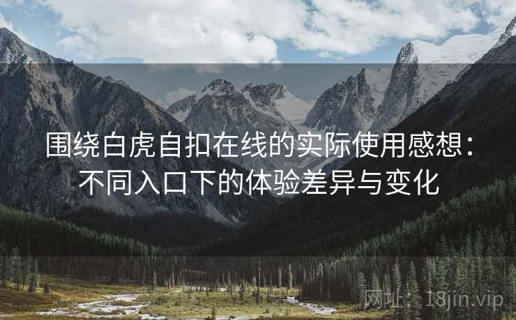 围绕白虎自扣在线的实际使用感想：不同入口下的体验差异与变化