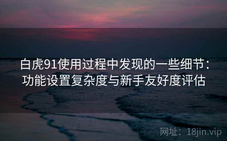 白虎91使用过程中发现的一些细节：功能设置复杂度与新手友好度评估