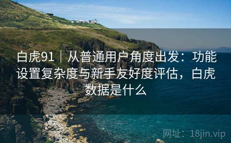 白虎91|从普通用户角度出发:功能设置复杂度与新手友好度评估,白虎数据是什么 白虎91|从普通用户角度出发:功能设置复杂度与新手友好度评估,白虎数据是什么