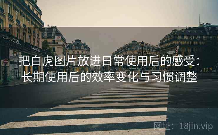 把白虎图片放进日常使用后的感受：长期使用后的效率变化与习惯调整