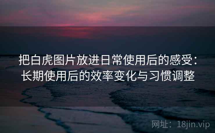 把白虎图片放进日常使用后的感受：长期使用后的效率变化与习惯调整